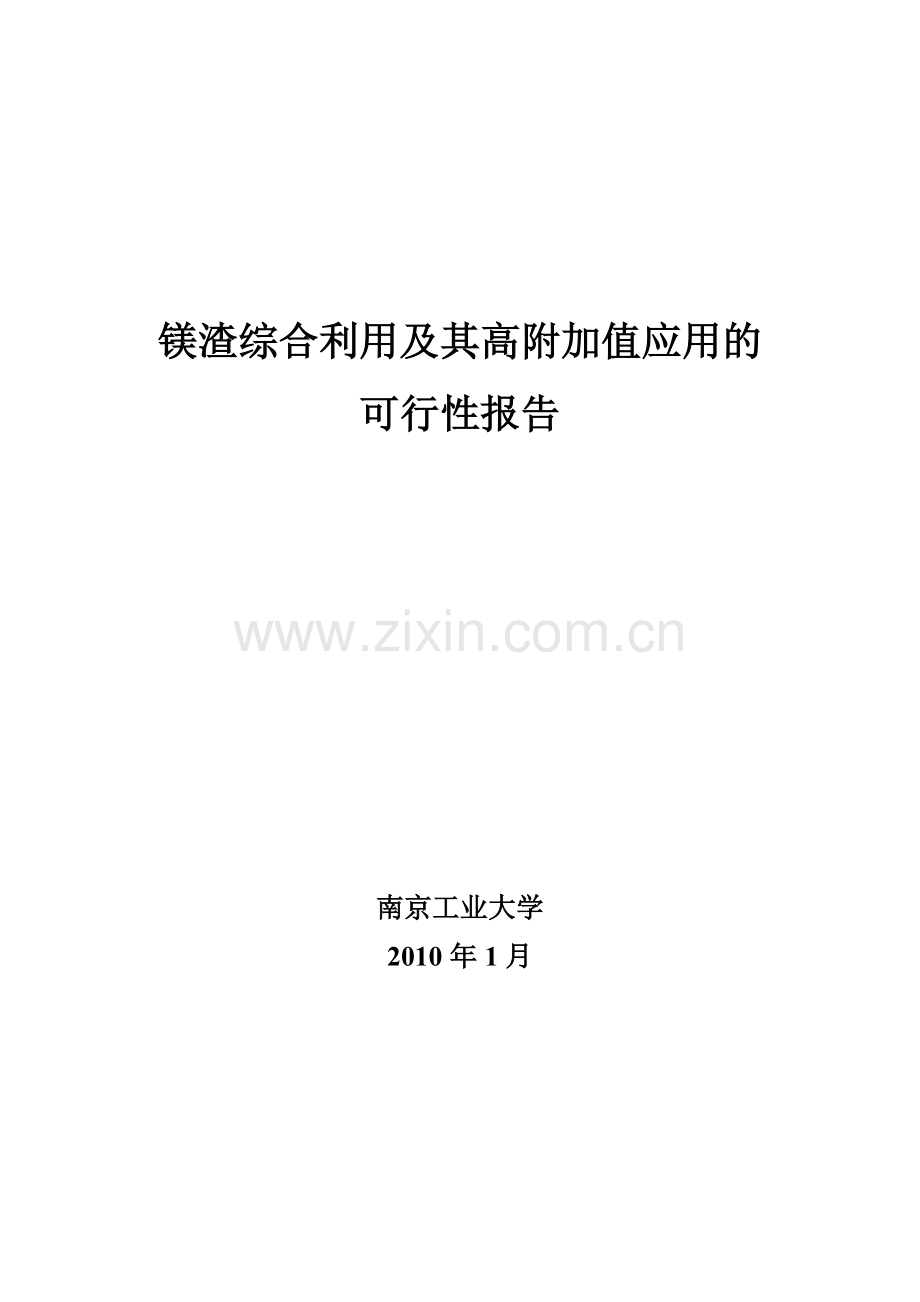 镁渣综合利用及其高附加值应用的建设可研报告.doc_第1页