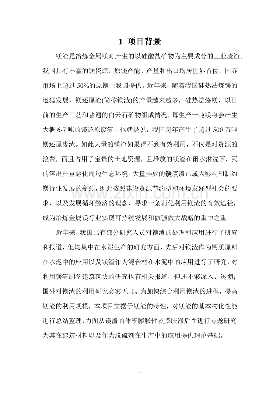 镁渣综合利用及其高附加值应用的建设可研报告.doc_第2页