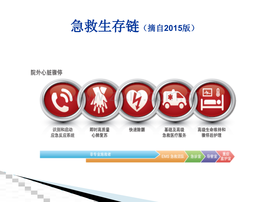 临床常用急救药品的作用医学PPT课件.pptx_第3页