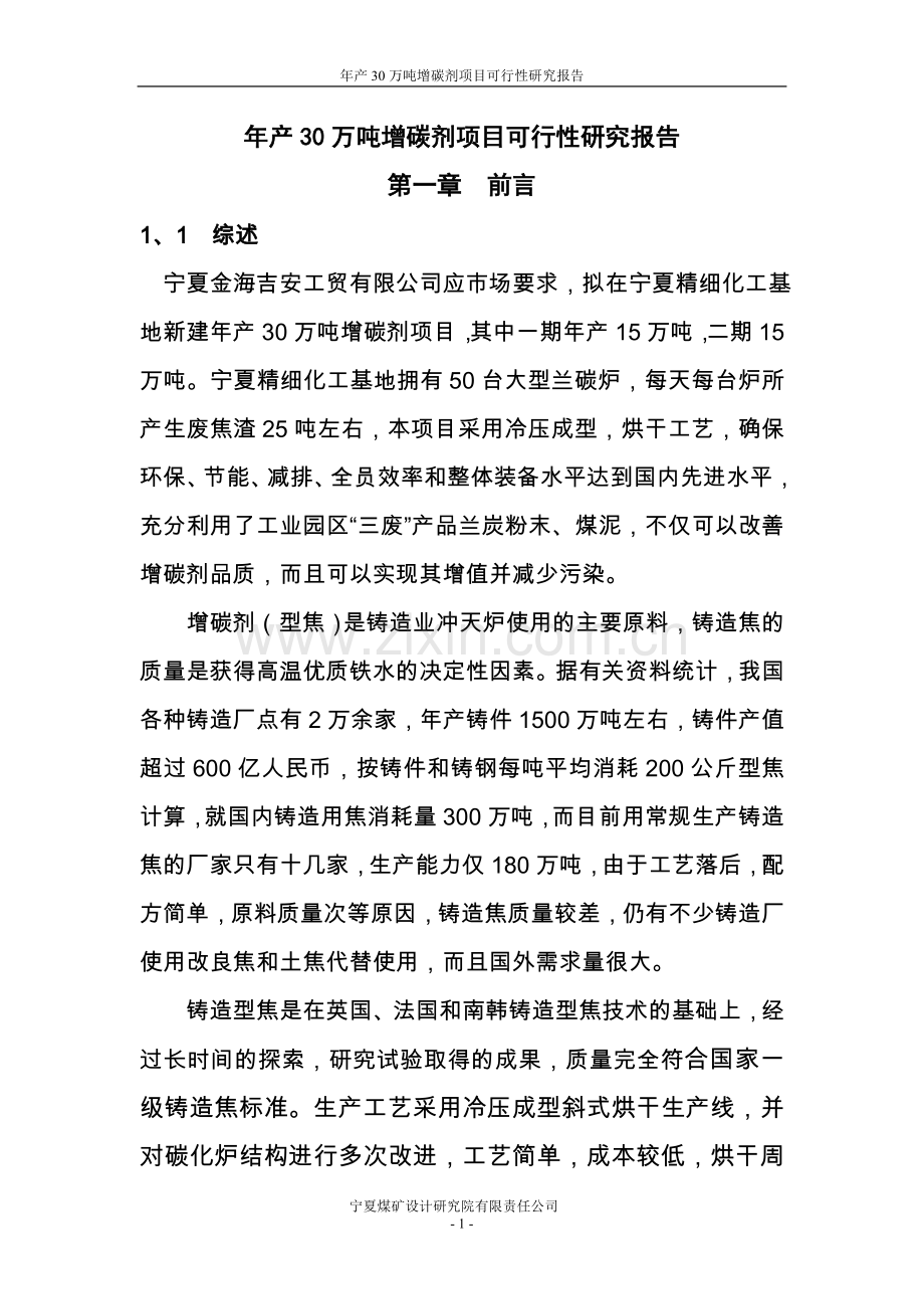 年产30万吨增碳剂项目可行性论证报告代项目可行性论证报告.doc_第1页