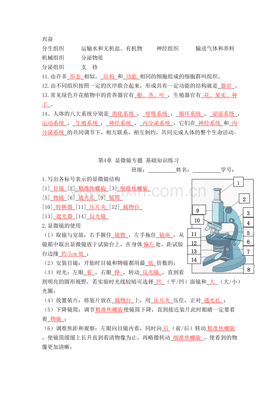 第4章生物体的结构层次基础知识练习(答案).doc_第2页