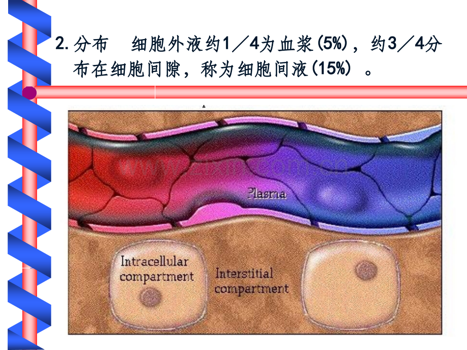 水、电解质代谢紊乱(4).ppt_第3页