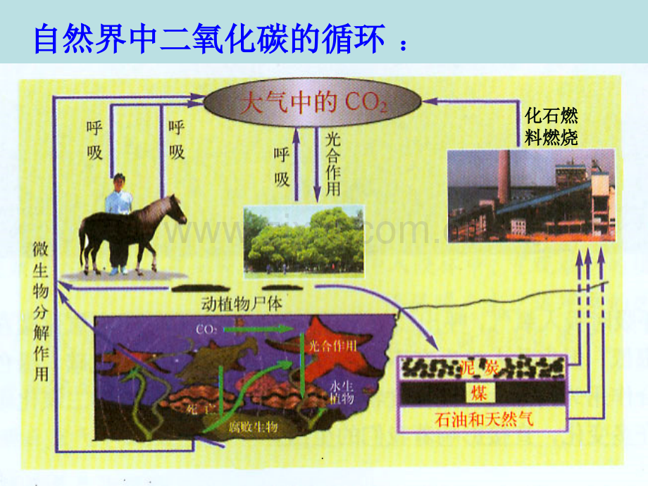 课题2-二氧化碳制取的研究.ppt_第2页