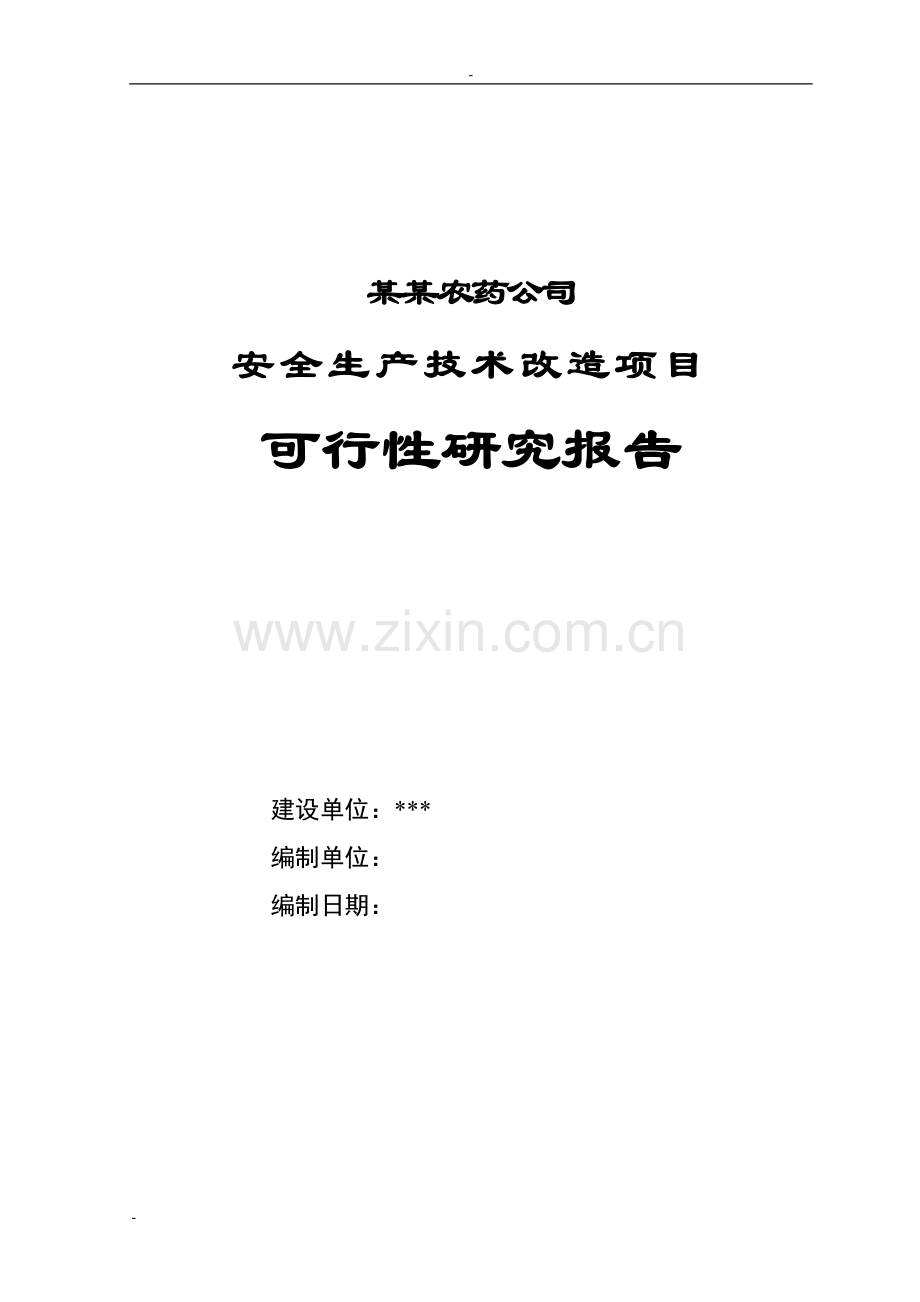 农药公司安全生产技术改造项目可行性论证报告.doc_第1页