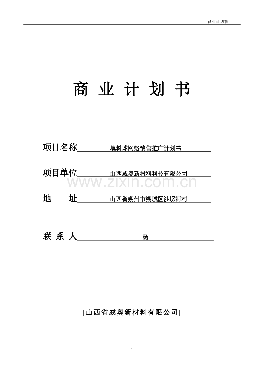 填料球网络销售推广可行性研究报告.doc_第1页