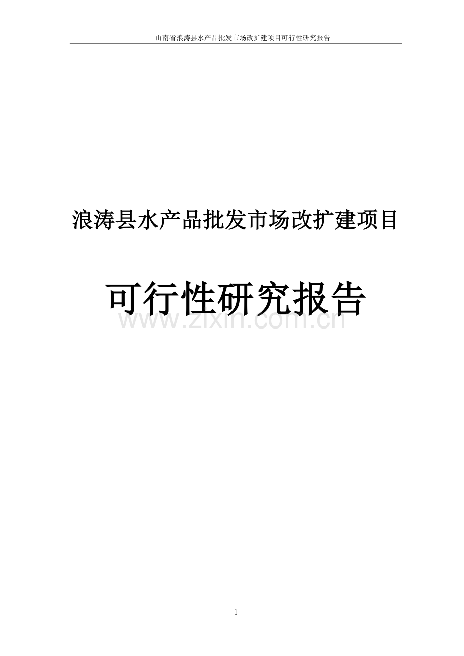 浪涛县水产品批发市场改扩建项目可行性研究报告书.doc_第1页