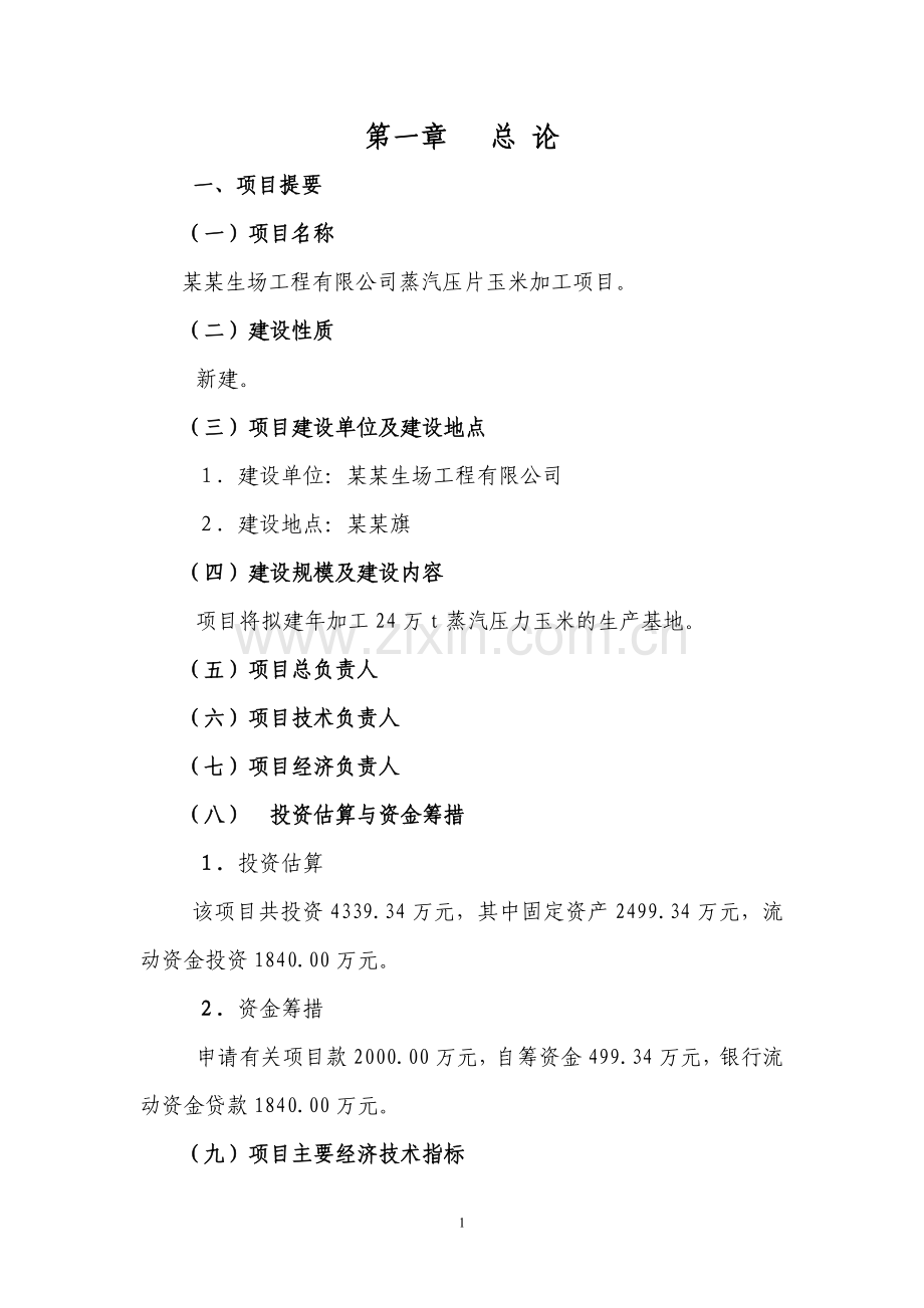 蒸汽玉米加工项目可行性策划书.doc_第1页