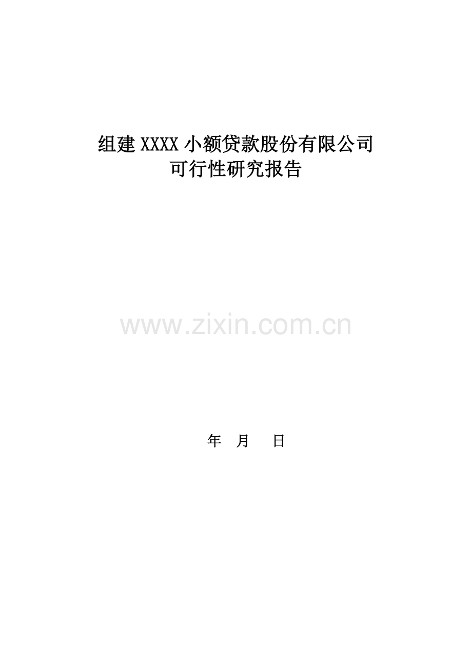 小贷公司可研报告.doc_第1页