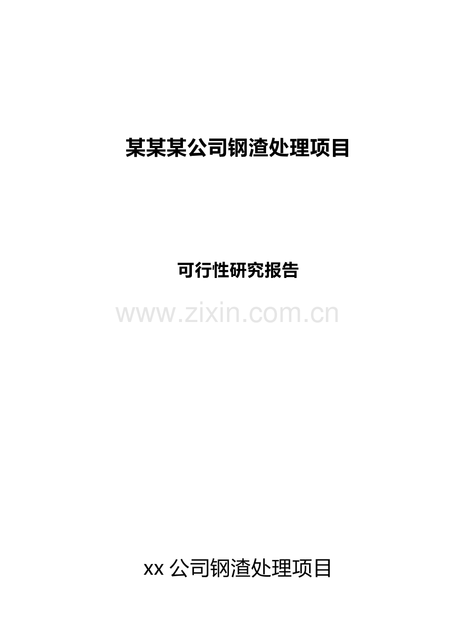 某某公司钢渣处理项目可行性研究报告书.doc_第1页