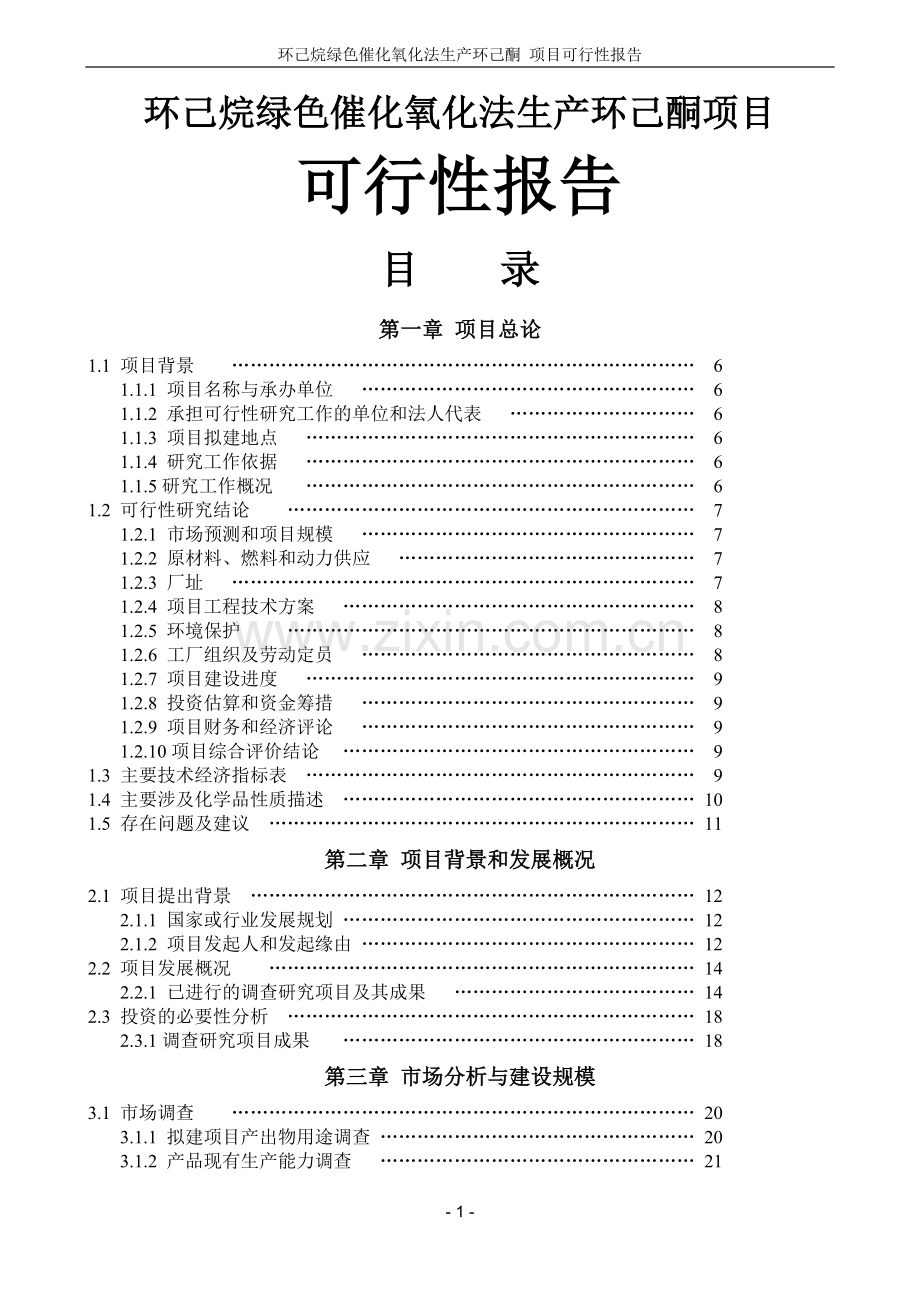 环己烷绿色催化氧化法生产环己酮项目可行性研究报告.doc_第1页