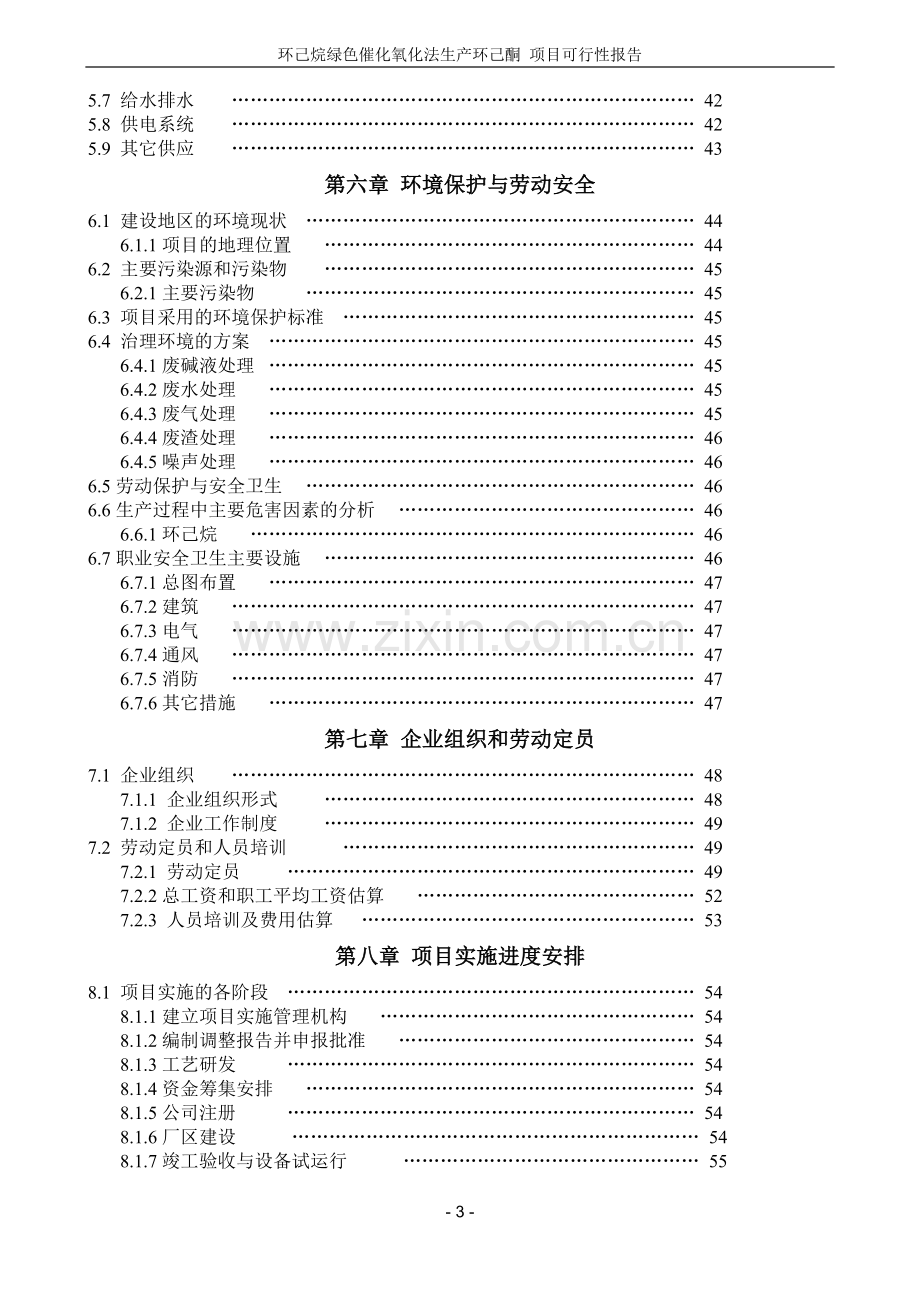 环己烷绿色催化氧化法生产环己酮项目可行性研究报告.doc_第3页