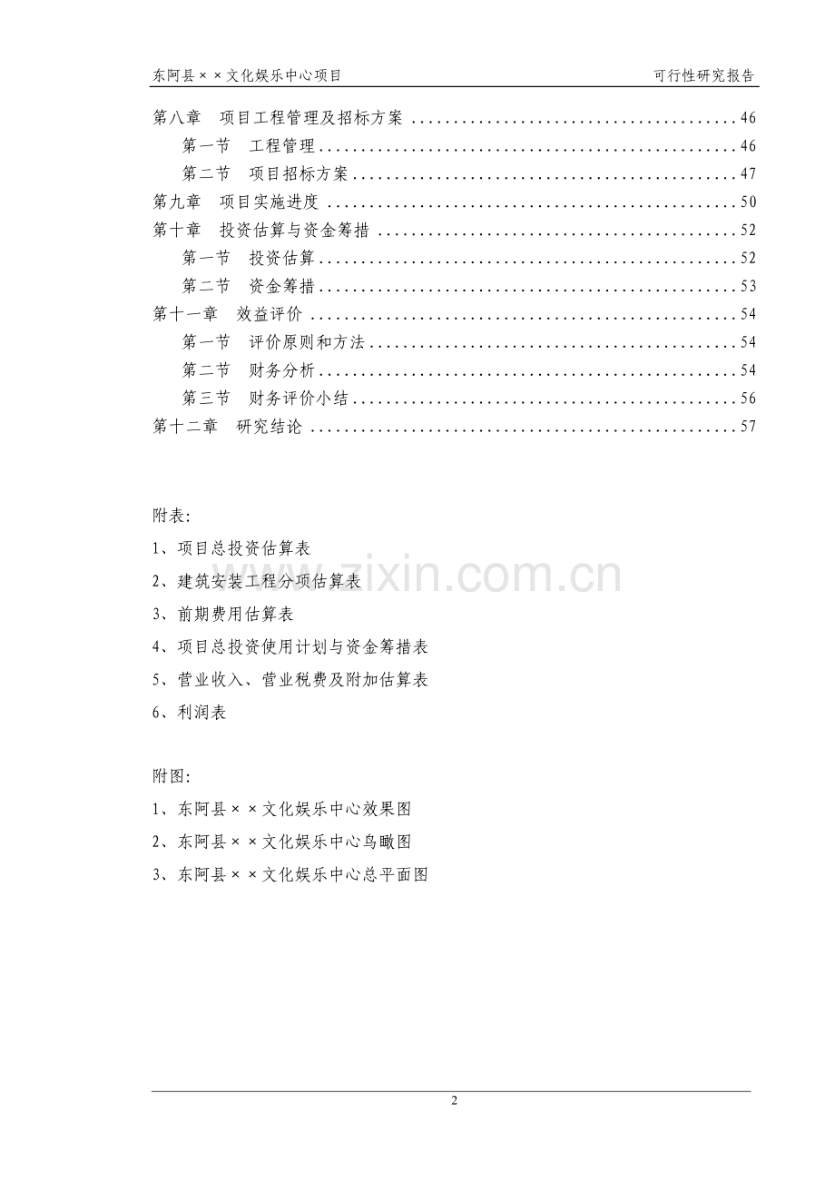 山东省东阿县××文化娱乐中心项目可行性研究报告.doc_第2页