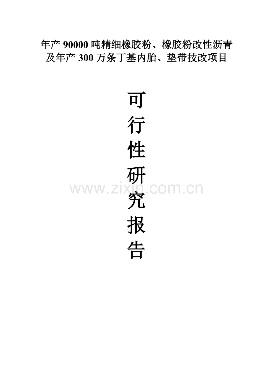 年产90000吨精细橡胶粉、橡胶粉改性沥青及年产300万条丁级内垫带技改项目可行性策划书.doc_第1页