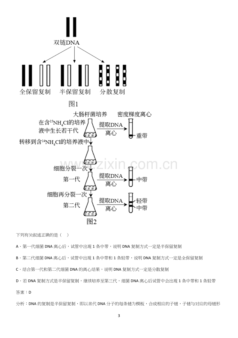 洛阳市高中生物必修二第三章基因的本质考点专题训练.docx_第3页