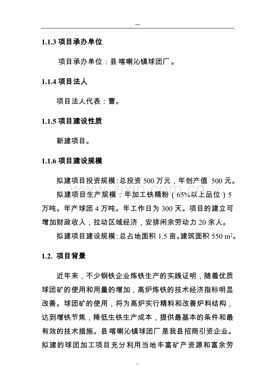 球团厂新建项目可行性论证报告.doc_第2页