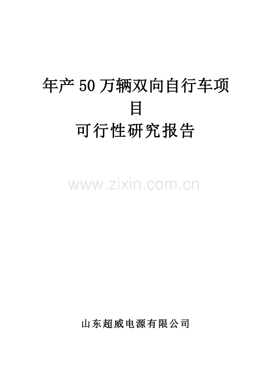 年产50万辆自行车项目可行性策划书.doc_第1页