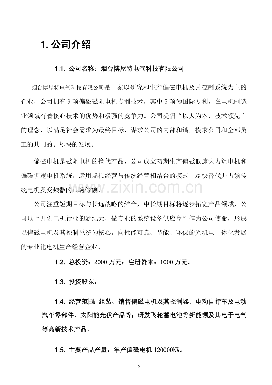 偏磁电机项目建设可行性研究报告.doc_第2页