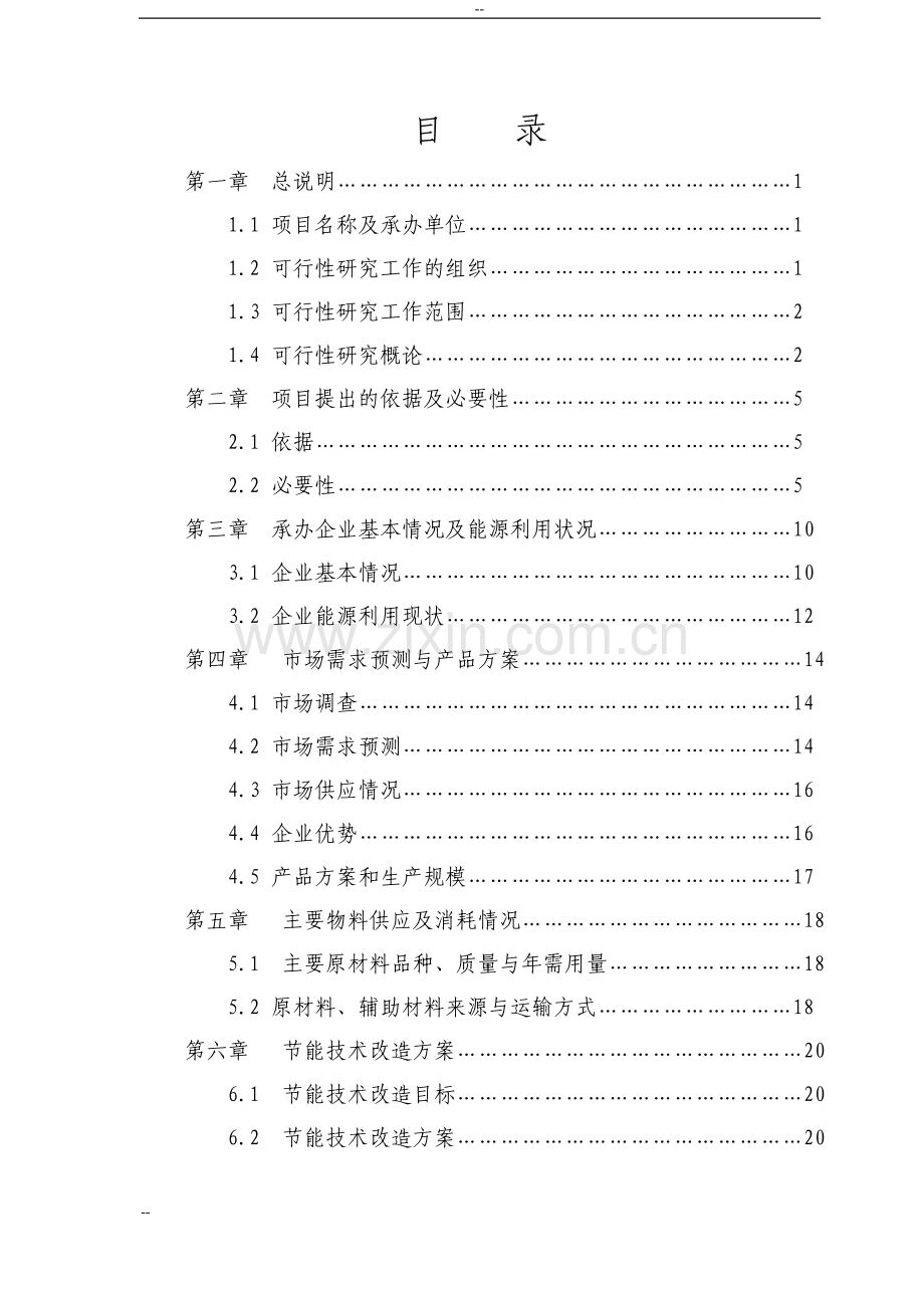 煤气炉替代煤窑炉节能技术改造项目可行性论证报告.doc_第1页