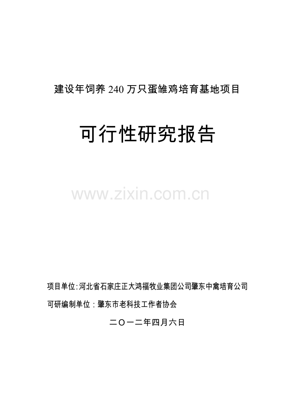 建设年饲养240万只蛋雏鸡培育基地可行性研究报告.doc_第1页