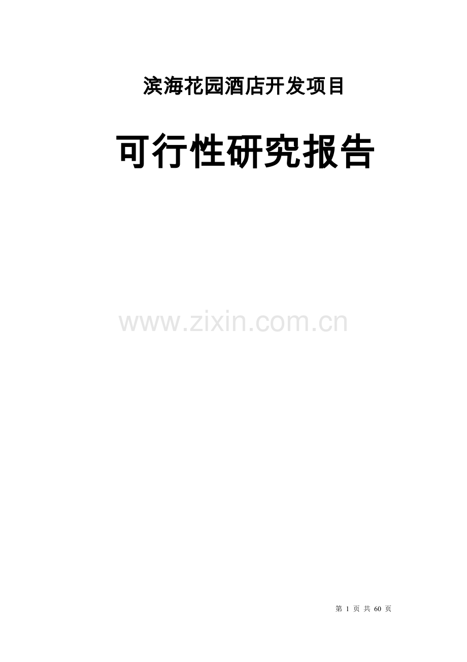 滨海花园酒店开发项目可行性研究报告.doc_第1页