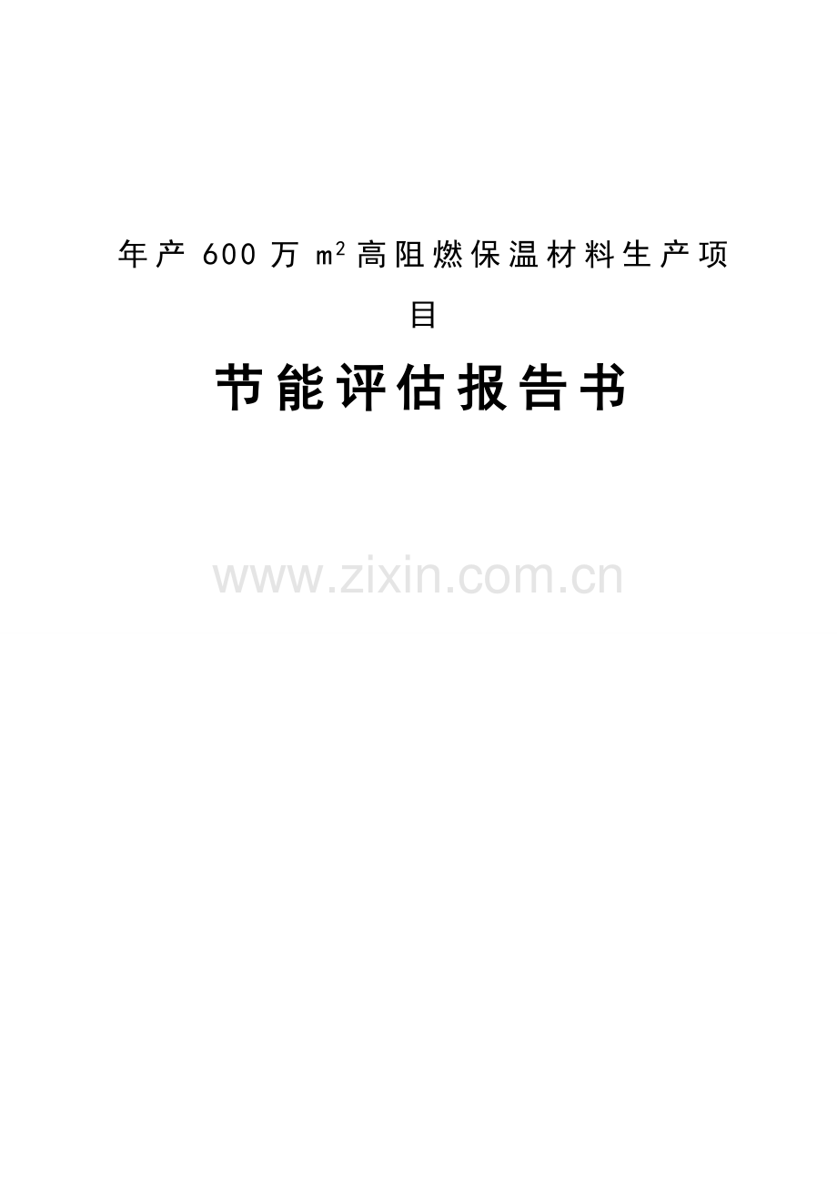 年产600万m2高阻燃保温材料生产项目节能评价报告.doc_第1页