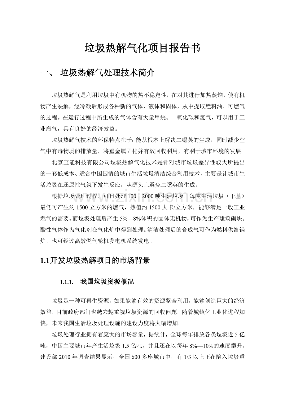 垃圾热解气化项目报告书.doc_第1页