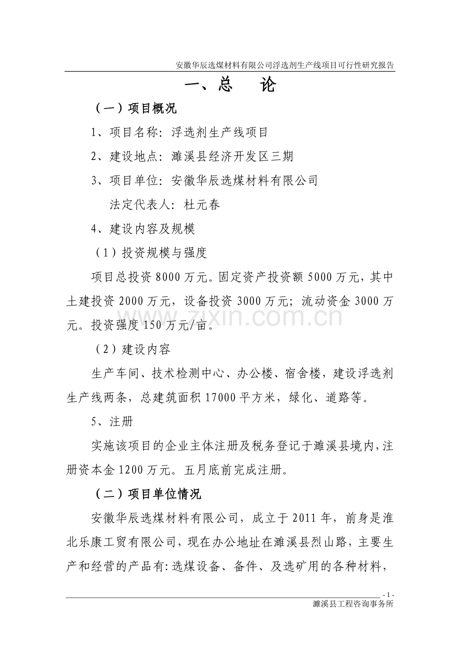 华辰公司浮选剂生产线项目建设投资可行性研究报告.doc_第1页