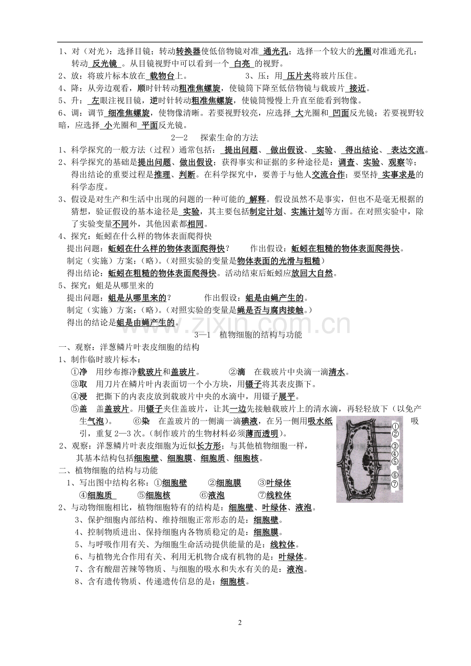 苏教版七年级上册生物复习提纲.doc_第2页