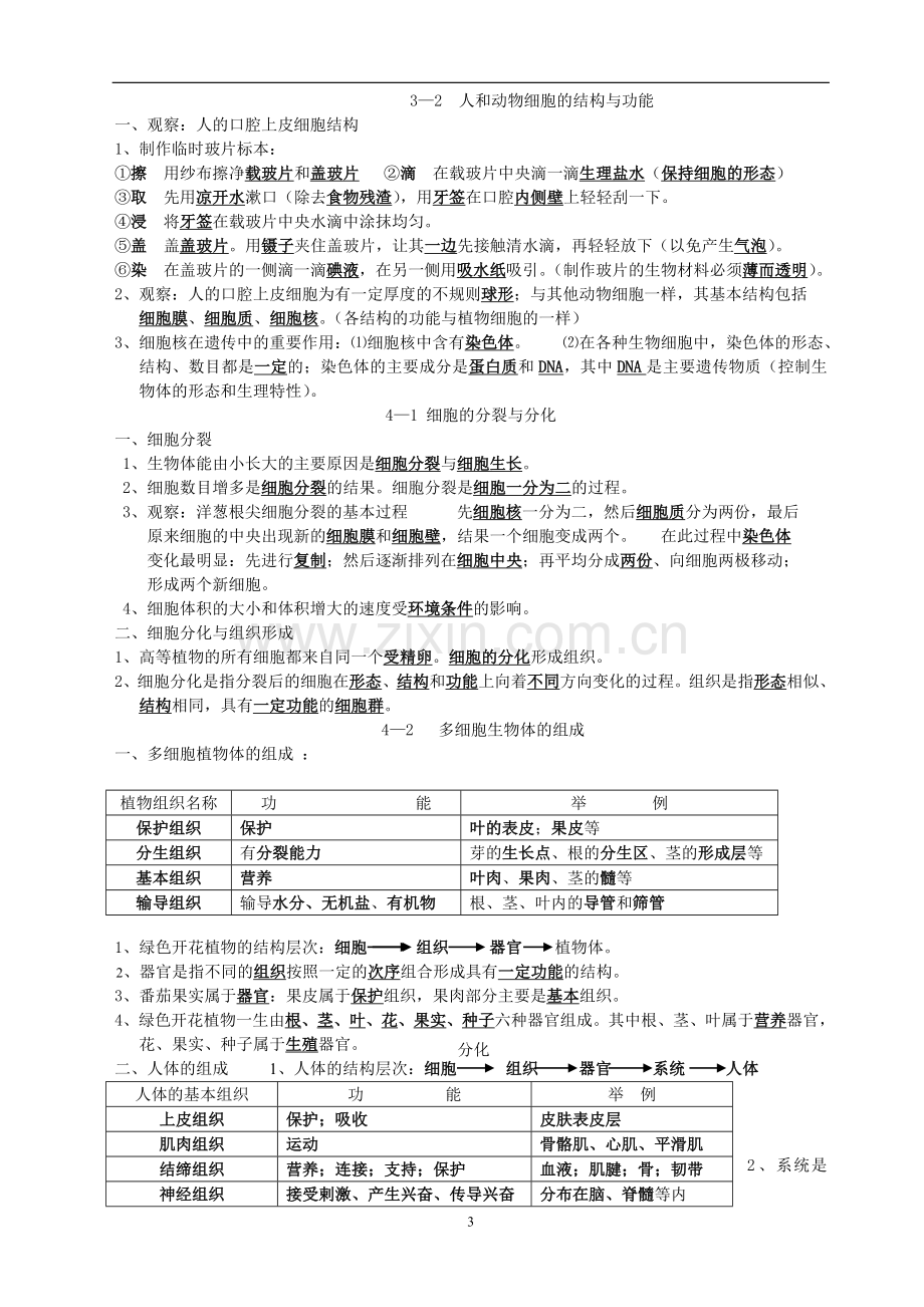 苏教版七年级上册生物复习提纲.doc_第3页