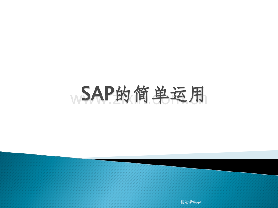 《SAP的简单运用》PPT课件.pptx_第1页