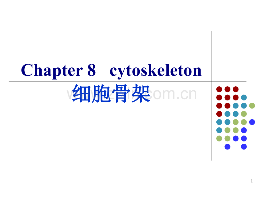 [细胞生物学]细胞骨架医学PPT课件.ppt_第1页