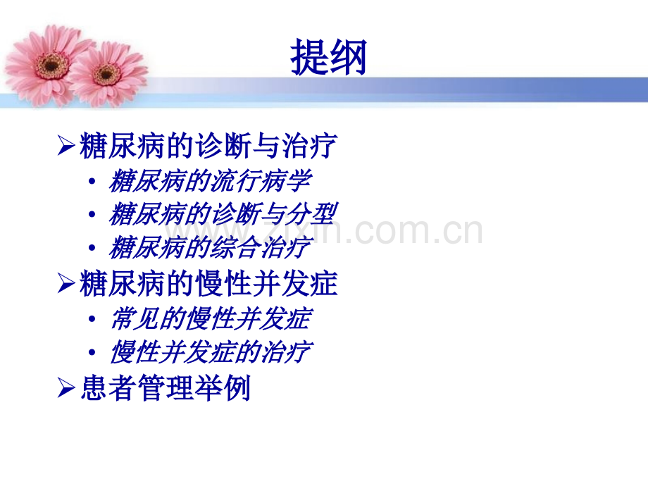 2型糖尿病中西医的治疗医学PPT课件.ppt_第2页