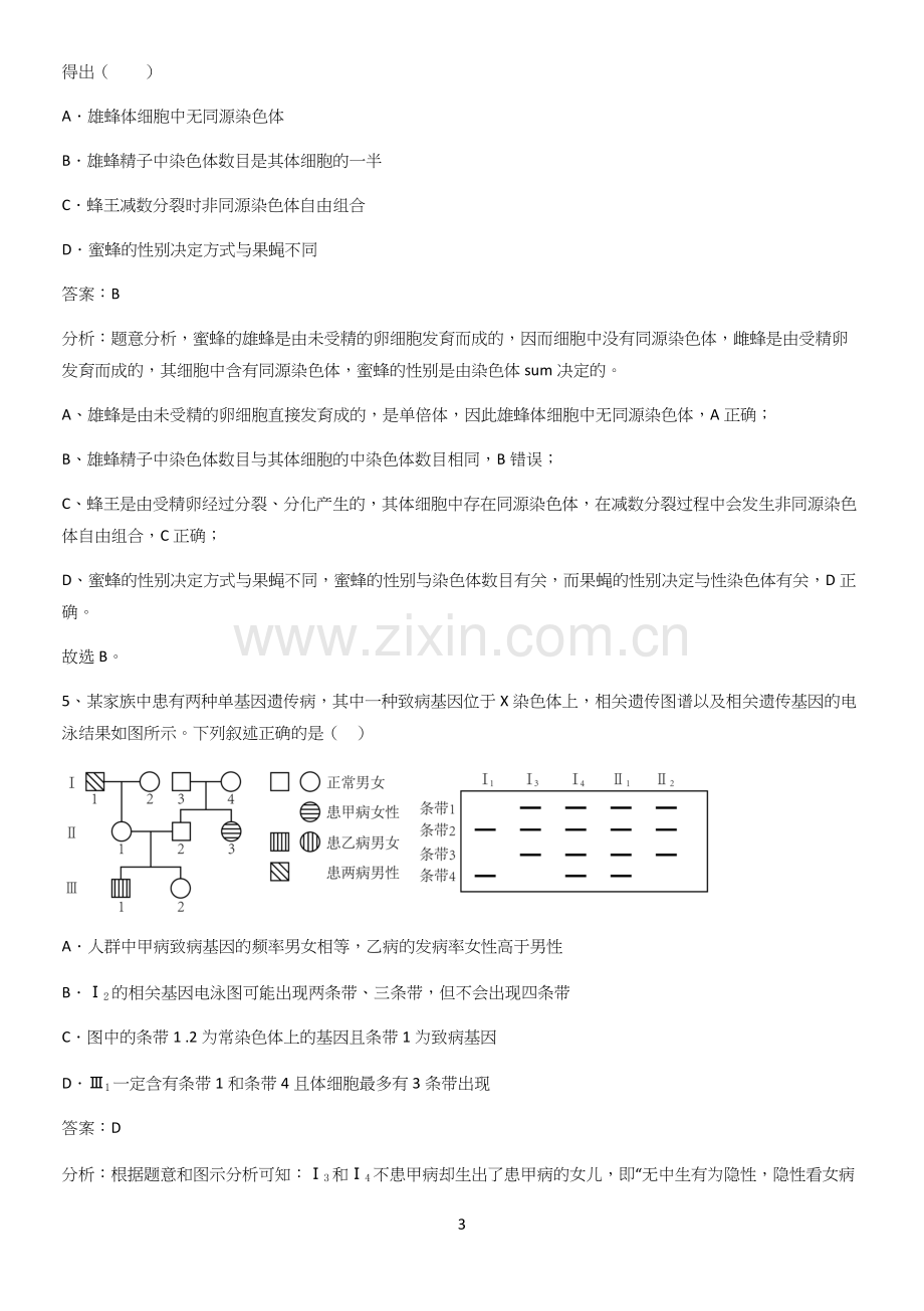 河南省高中生物必修二第二章基因和染色体的关系知识点总结全面整理.docx_第3页