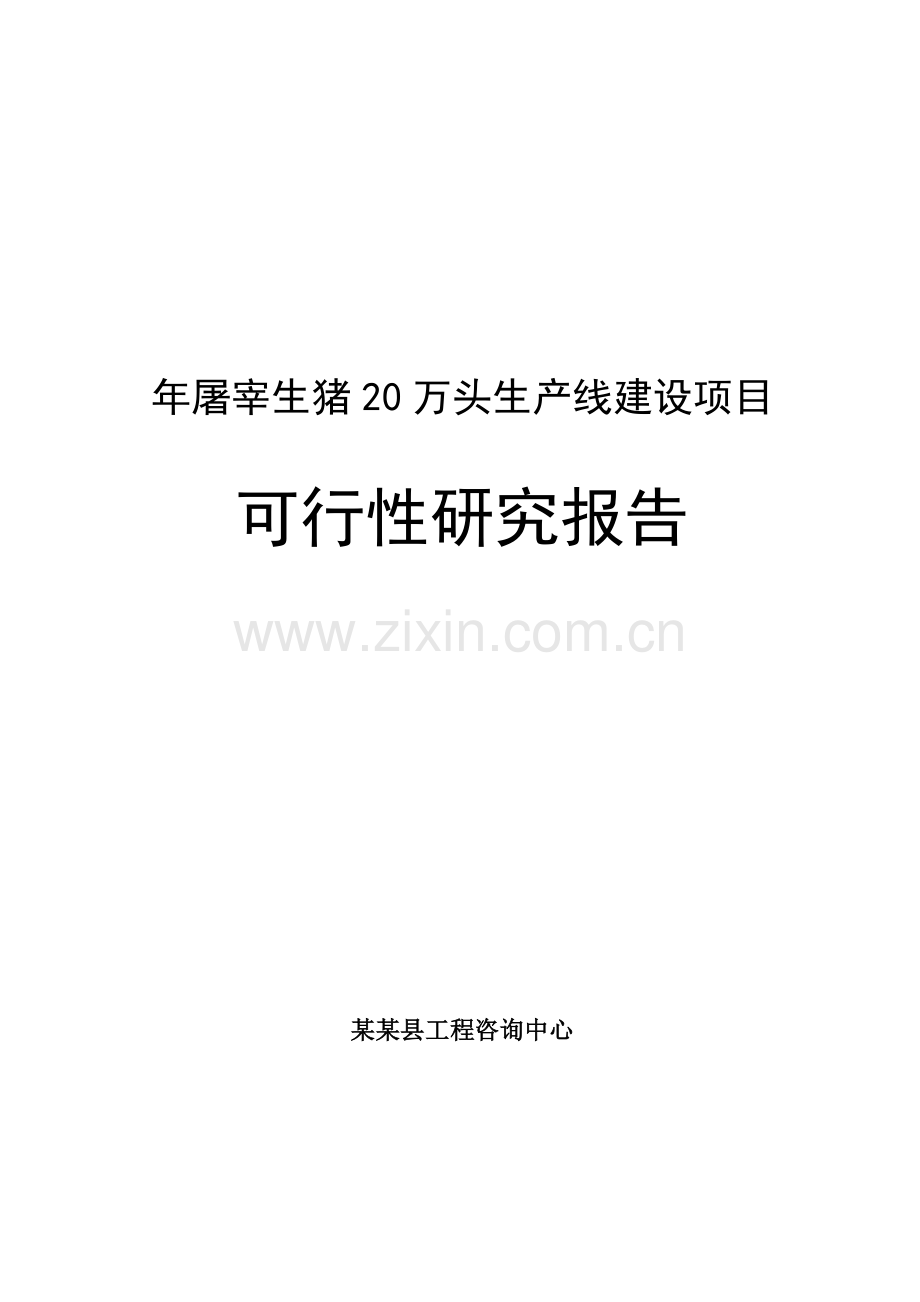 年屠宰生猪20万头生产线建设项目可行性研究报告.doc_第1页