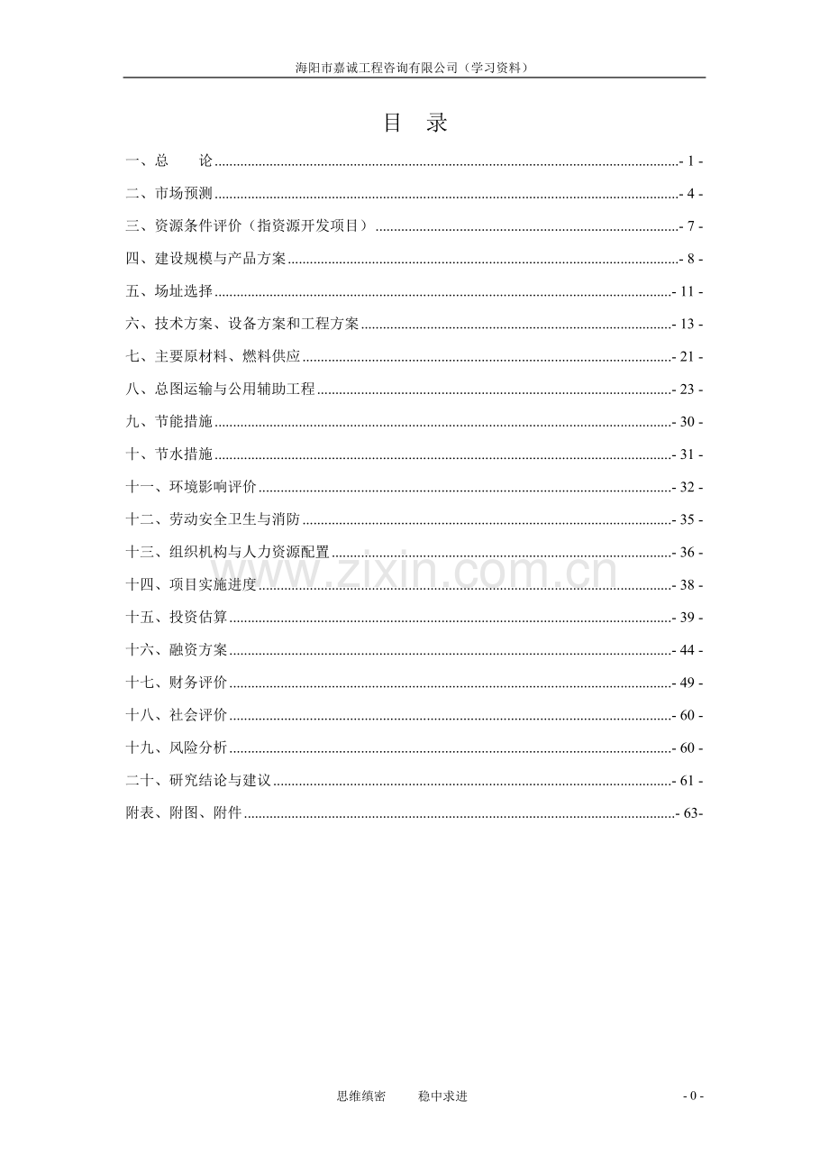 新设可行性分析报告权威模板.doc_第1页