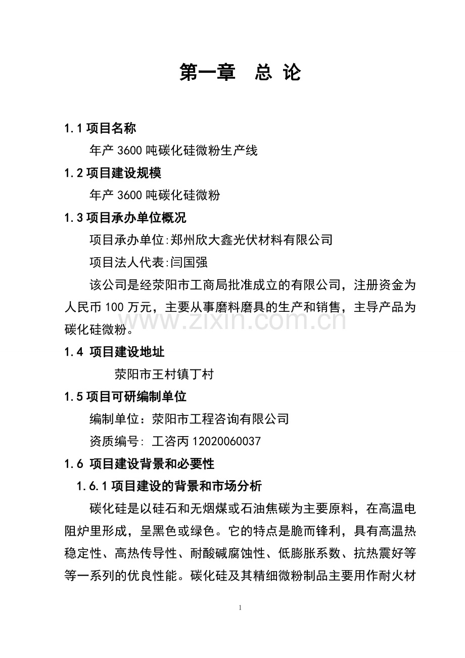 年产3600吨碳化硅微粉生产线项目可行性研究报告.doc_第1页