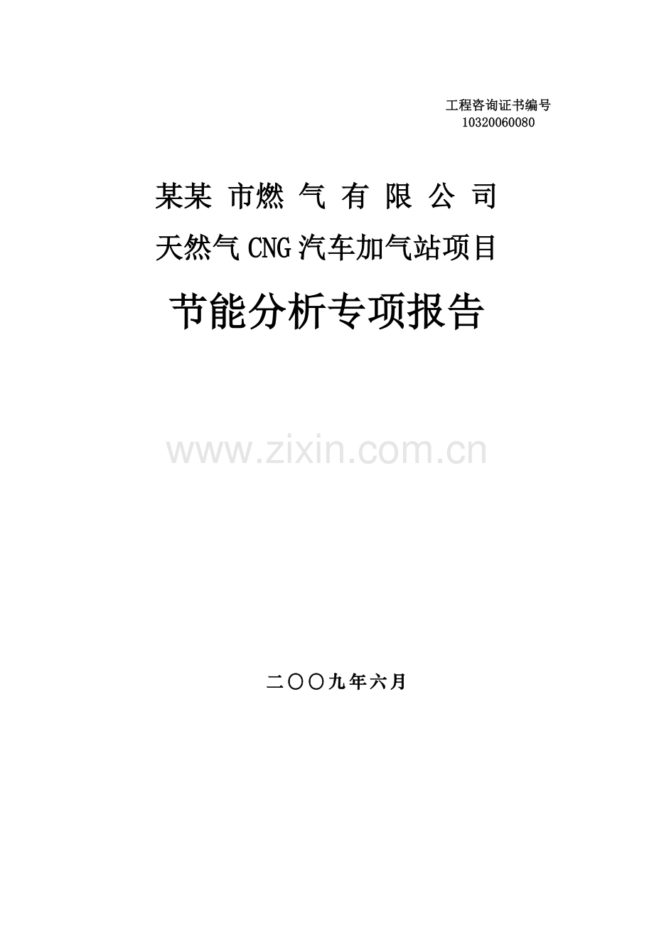 天然气汽车加气站项目节能分析评价报告.doc_第1页