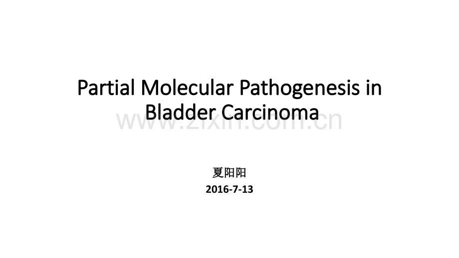 膀胱癌发病机制-XYY医学PPT课件.pptx_第1页