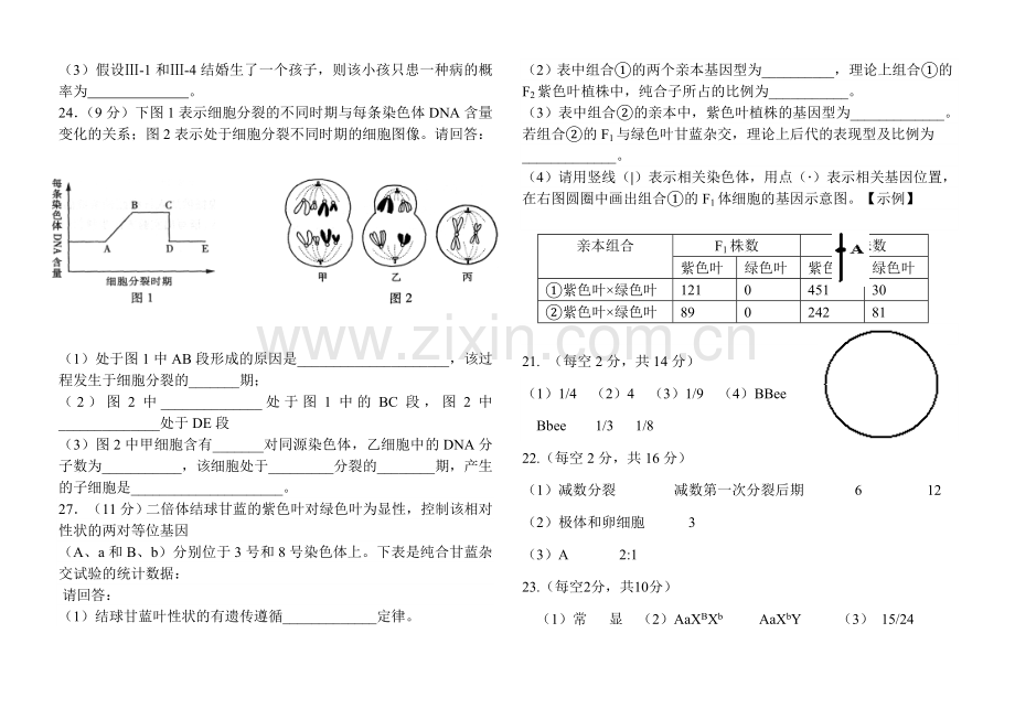 高一生物必修2第一二单元测试含答案.doc_第3页