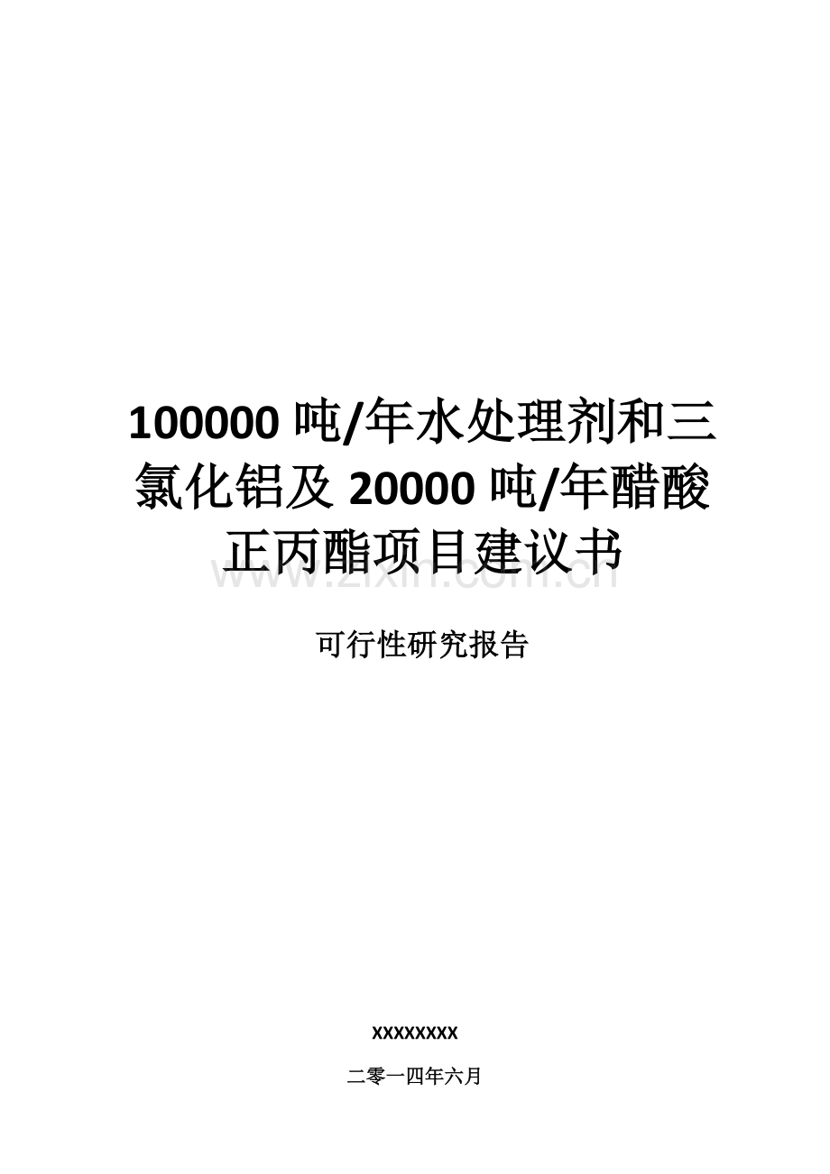 水处理剂、三氯化铝及醋酸正丙酯项目可行性研究报告.doc_第1页