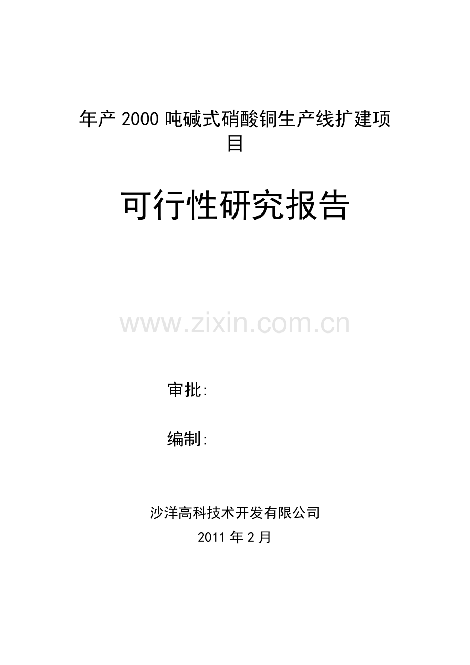 年产2000吨碱式硝酸铜生产线扩建项目可行性论证报告.doc_第1页