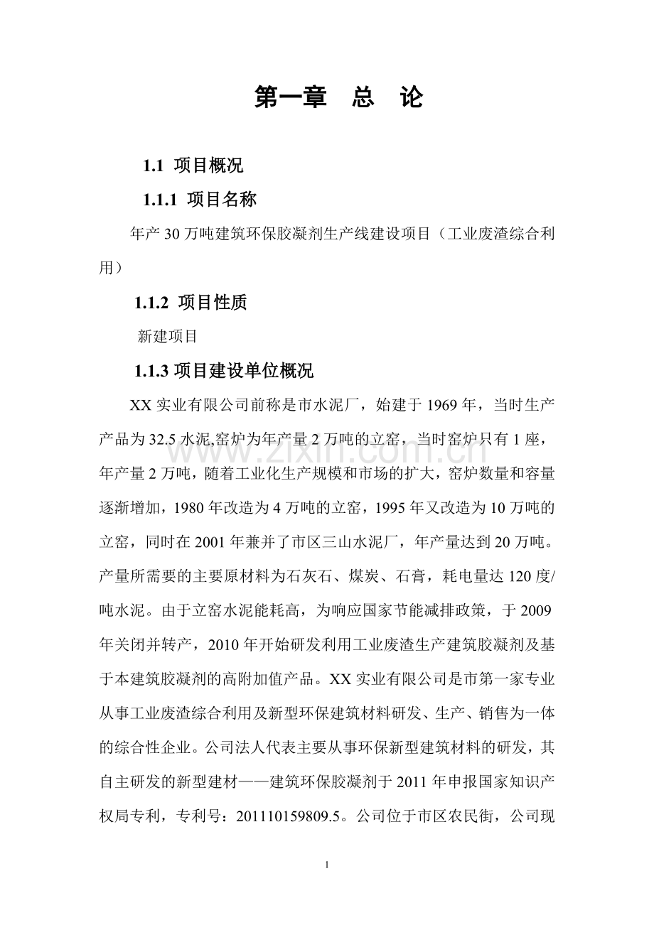 年产30万吨建筑环保胶凝剂生产线建设项目(工业废渣综合利用).doc_第1页