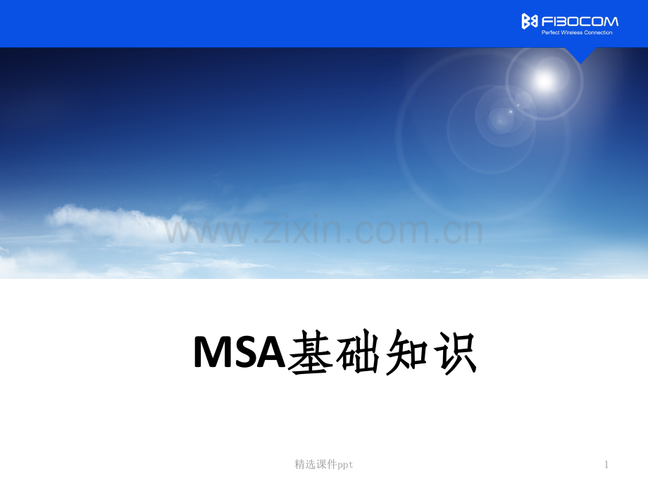 《MSA基础知识》PPT课件.pptx_第1页