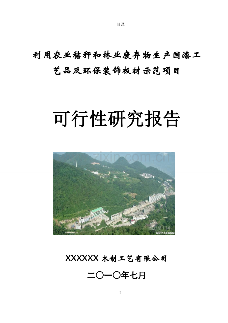利用农作物秸秆等农、林废弃物年产16万套国漆工艺品及120万平方米工艺装饰板材改扩建项目可行性研究报告.doc_第1页