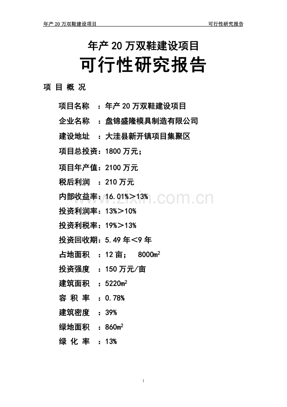 年产20万双鞋可行性策划报告.doc_第1页