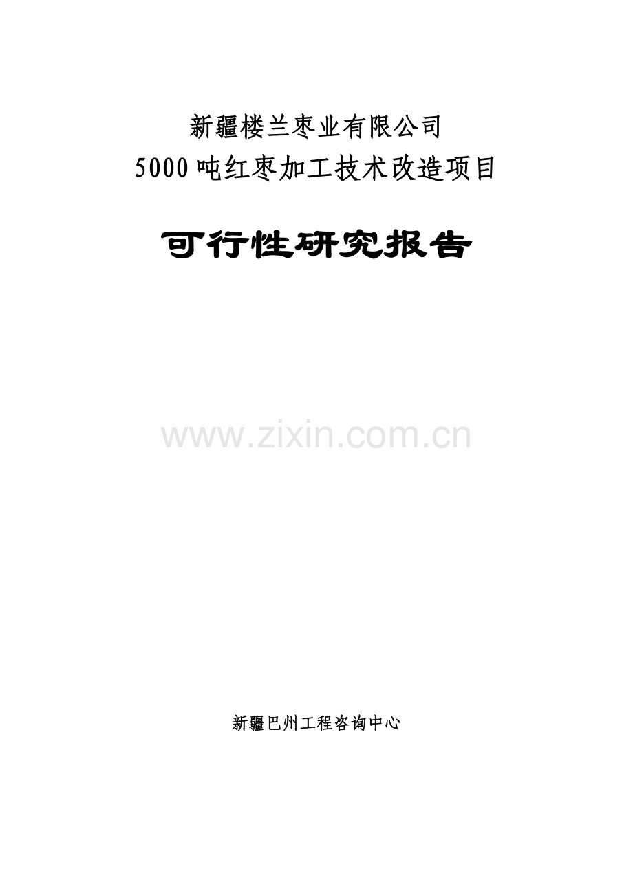 5000吨红枣加工项目可行性论证报告.doc_第1页