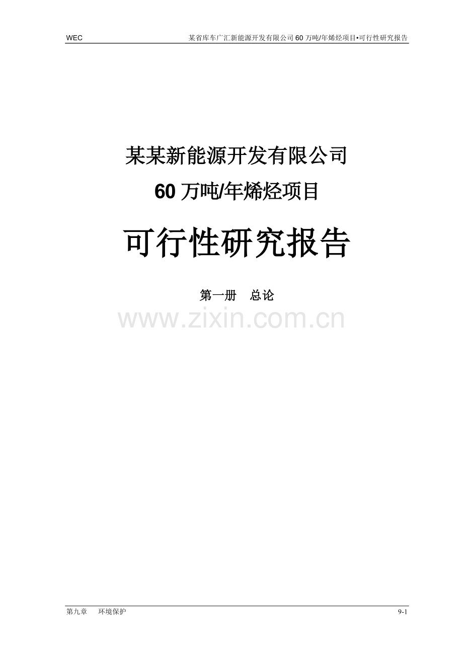 年产60万吨烯烃项目建设申请建设可研报告代项目建设申请建设可研报告.doc_第1页