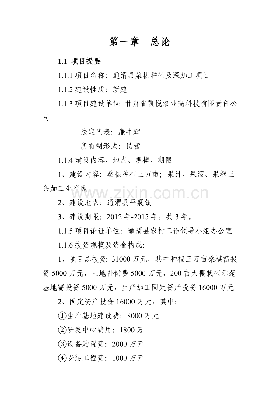 桑椹种植及深加工项目可行性策划书.doc_第1页