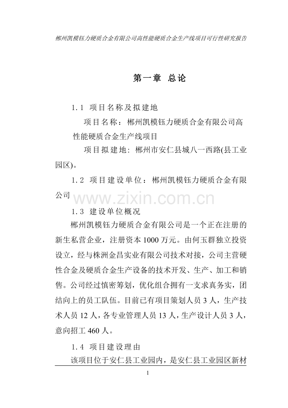 郴州凯模钰力硬质合金有限公司高性能硬质合金生产线项目可行性论证报告.doc_第1页