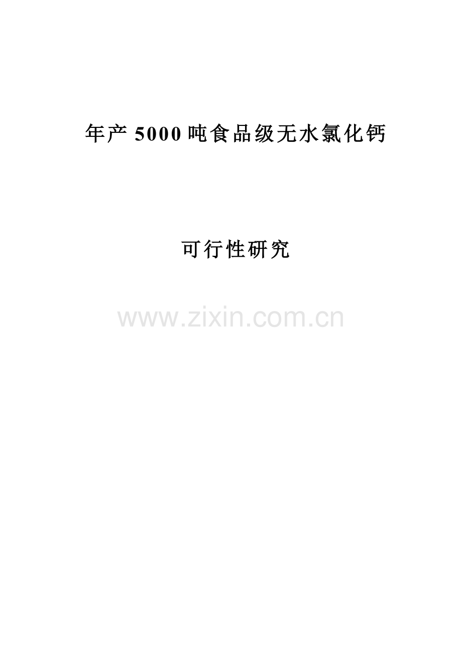 年产5000吨食品级无水氯化钙(盐酸石灰石)投资可行性研究报告.doc_第1页